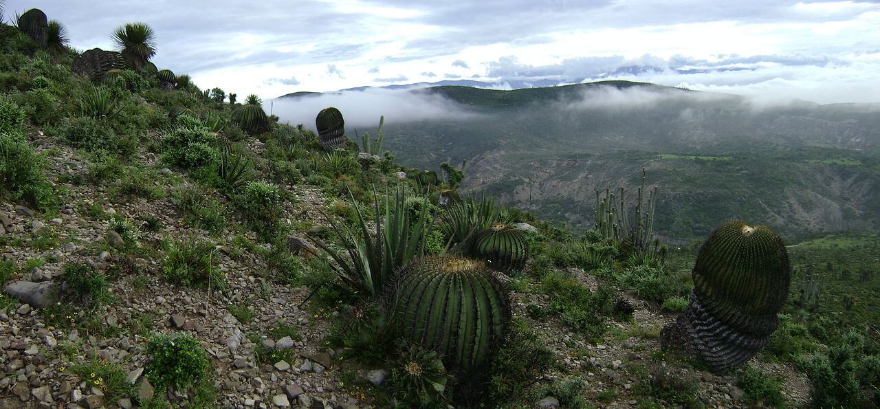 TehuacánCuicatlán Valley, World Heritage Site LAC Geo